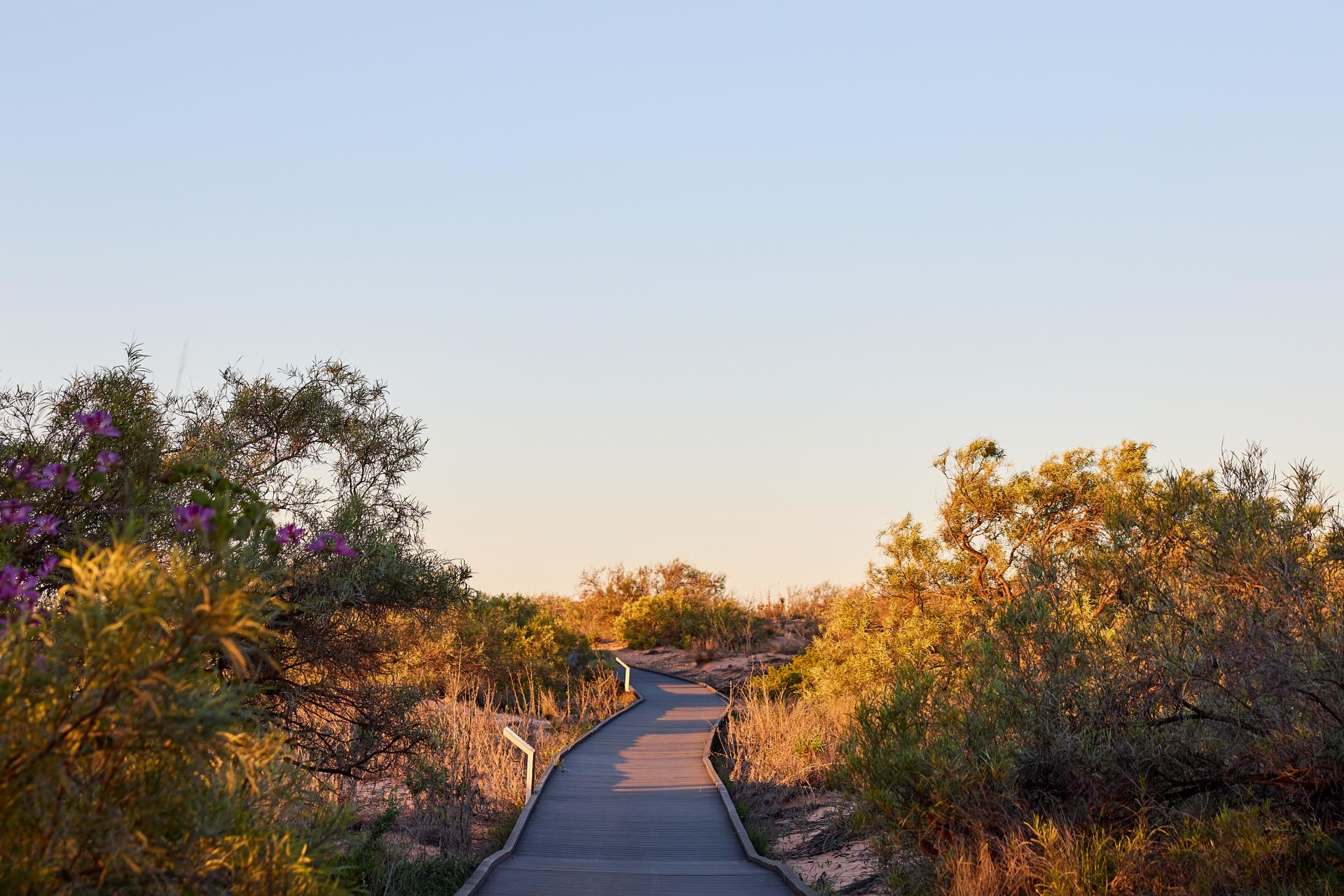 Ian Blair Memorial Boardwalk Image