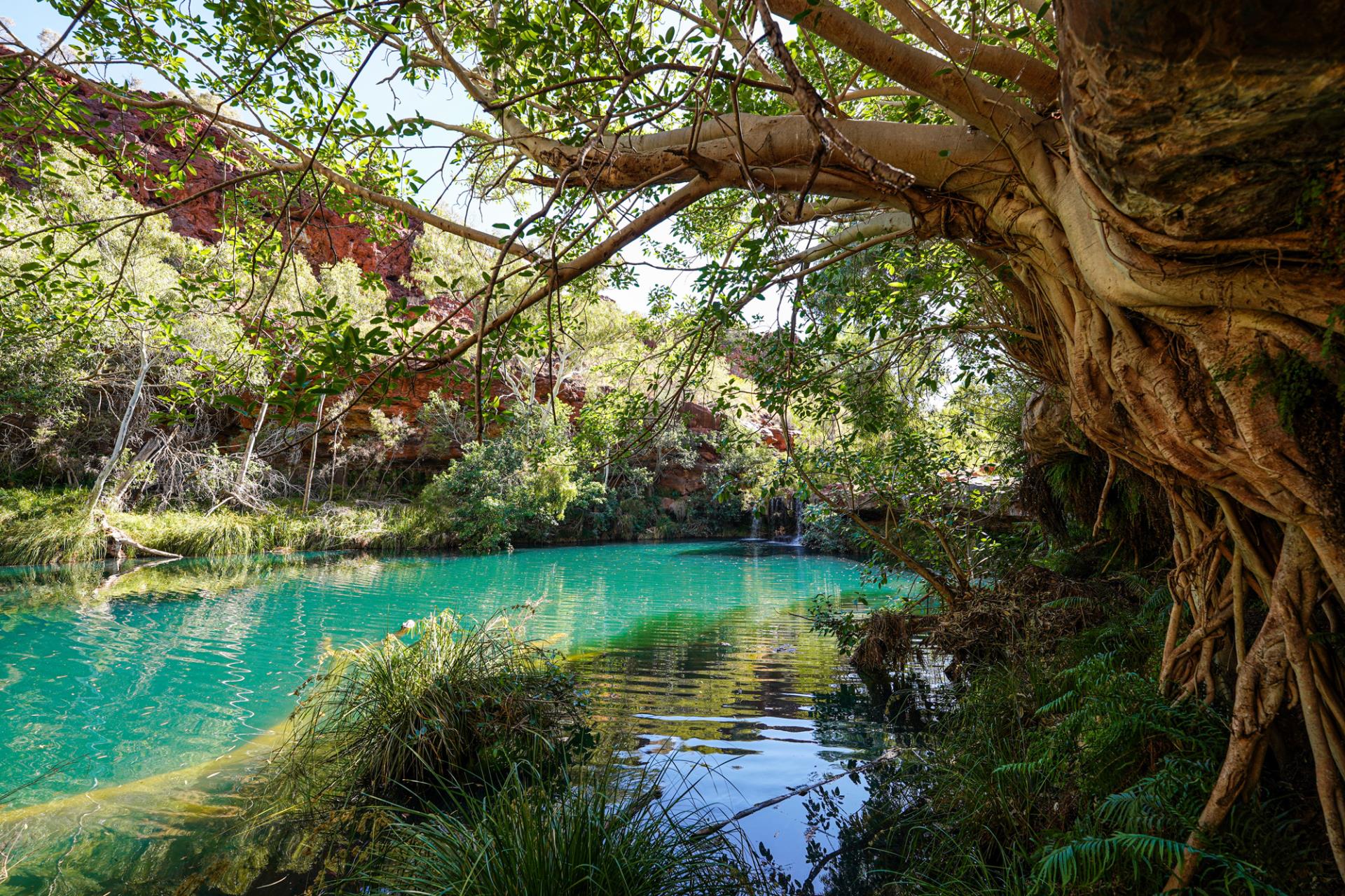 colours of karijini