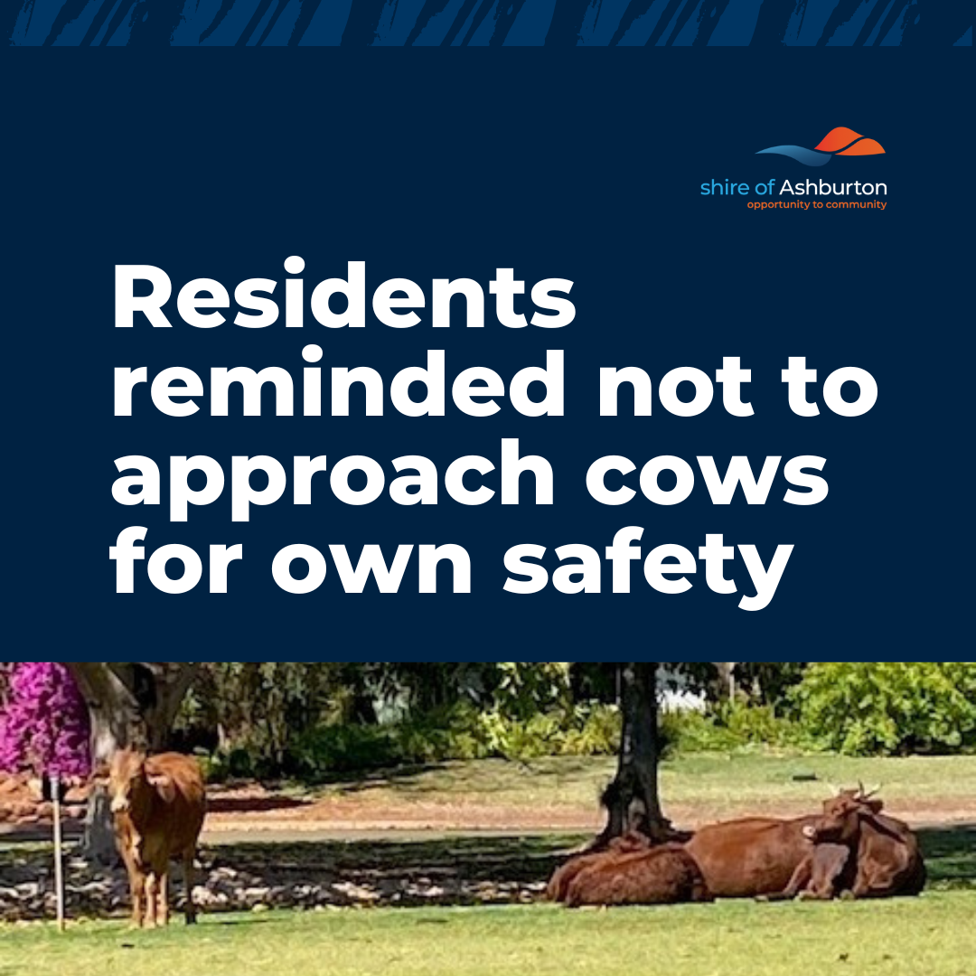 Latest News Visit Ashburton latest-news-visit-ashburton